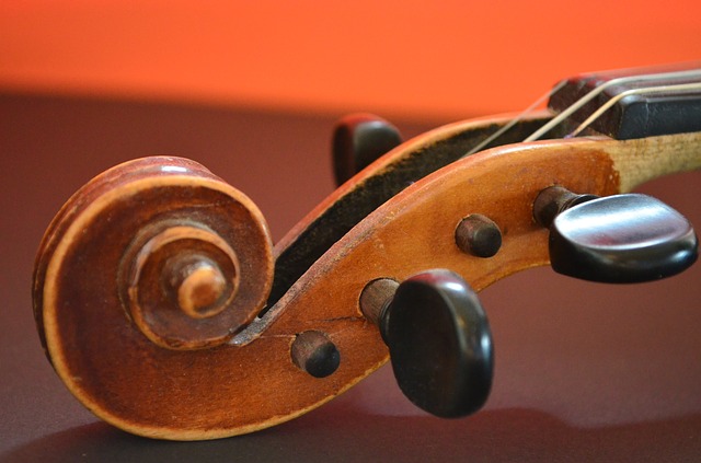 Violín